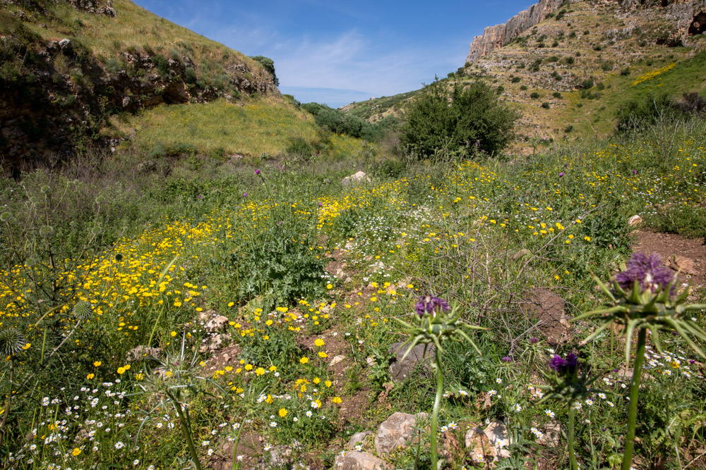 Wadi Hamam (Valley of the Doves)